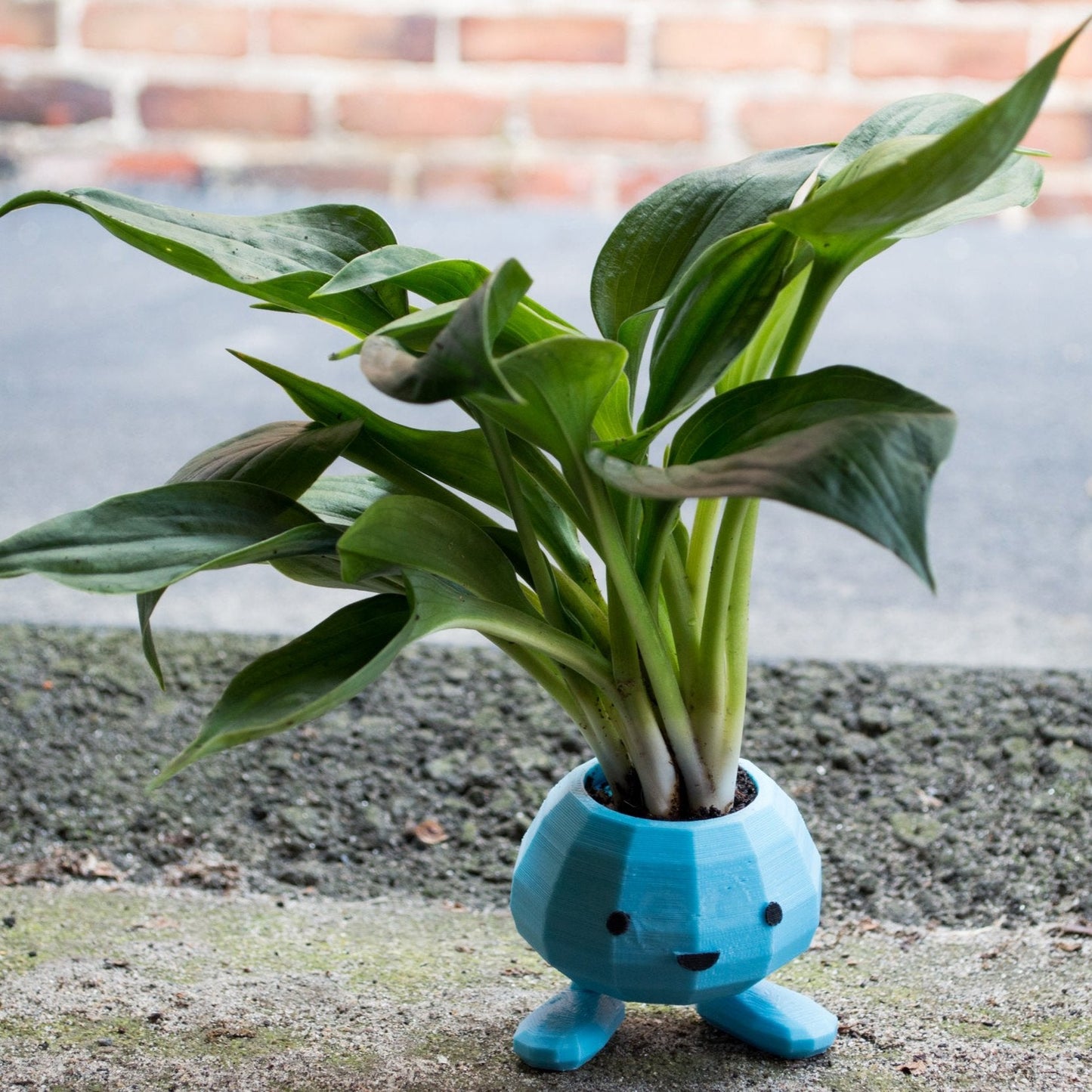 3D printed Oddish Planter, Eco-Friendly Bio-Based Material, Planter Pot