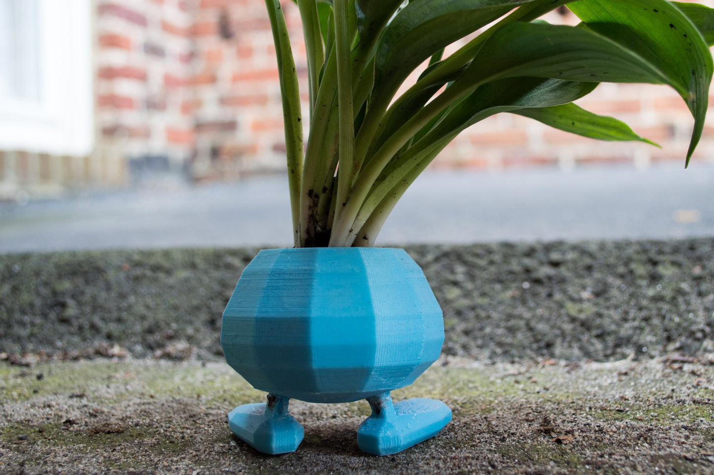 3D printed Oddish Planter, Eco-Friendly Bio-Based Material, Planter Pot