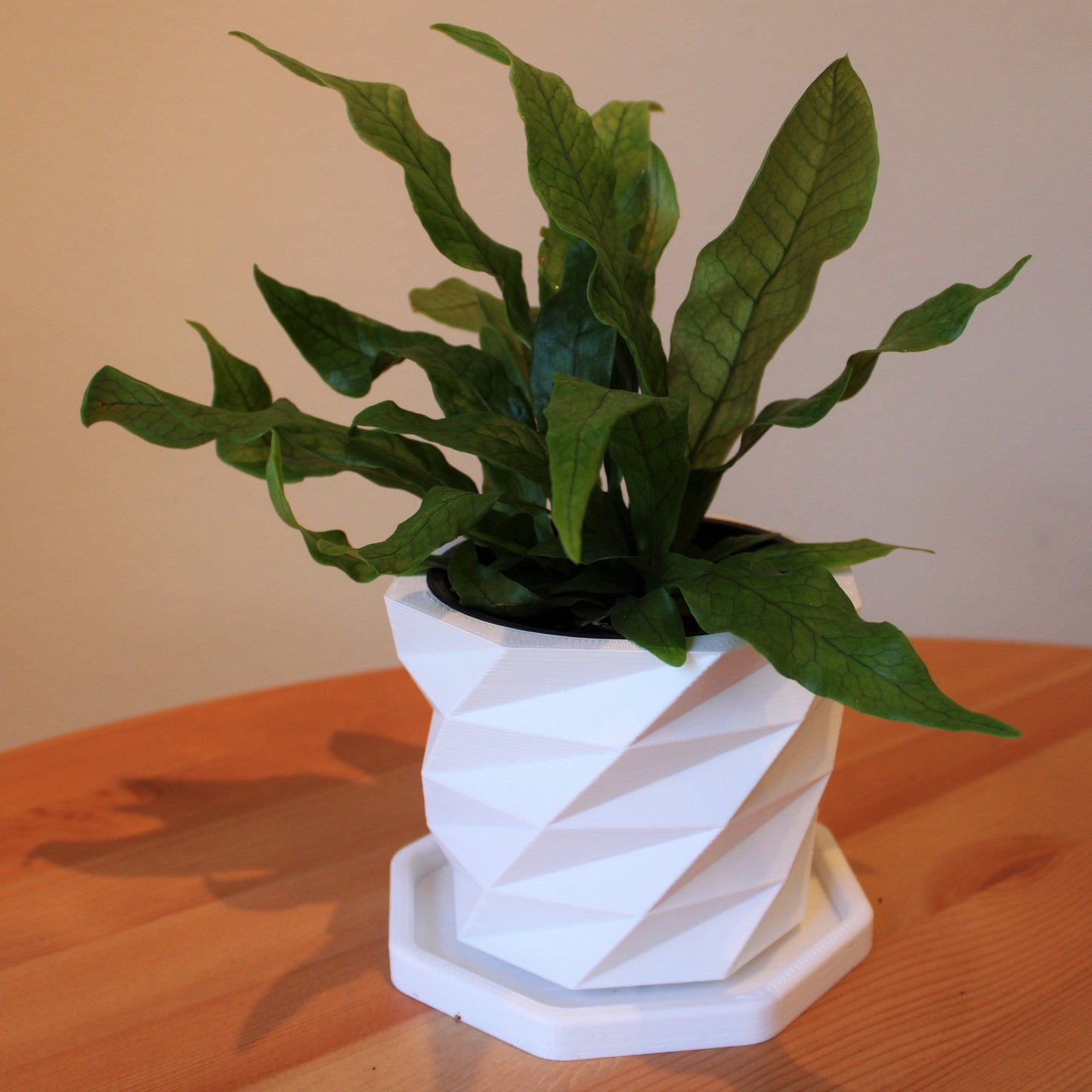 3D printed Low Poly Vase, Eco-Friendly Bio-Based Material, Planter Pot