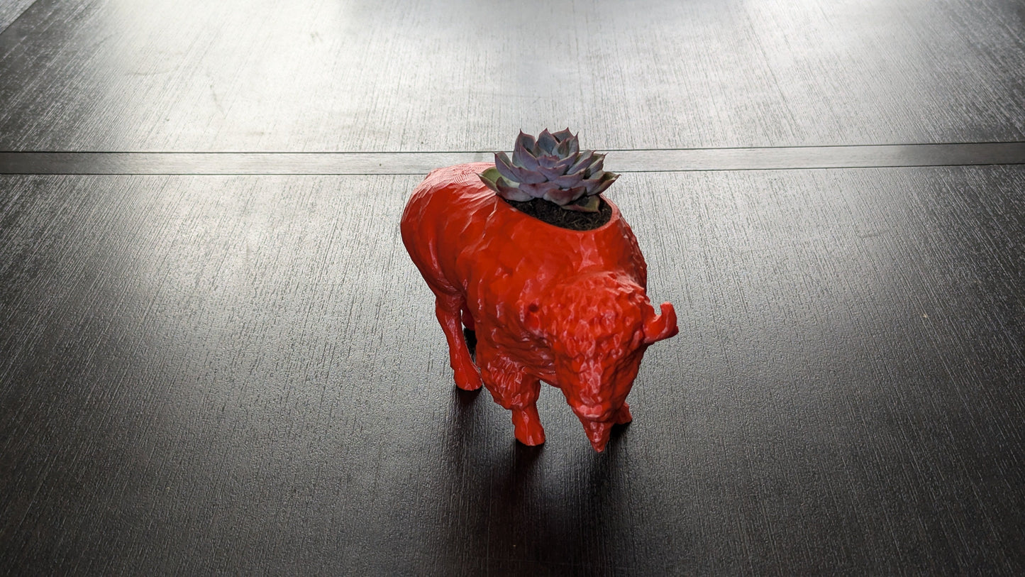 3D Printed Buffalo Planter, Red and Blue Succulent Pot, Eco-Friendly Plant Holder, Gift Wrapping