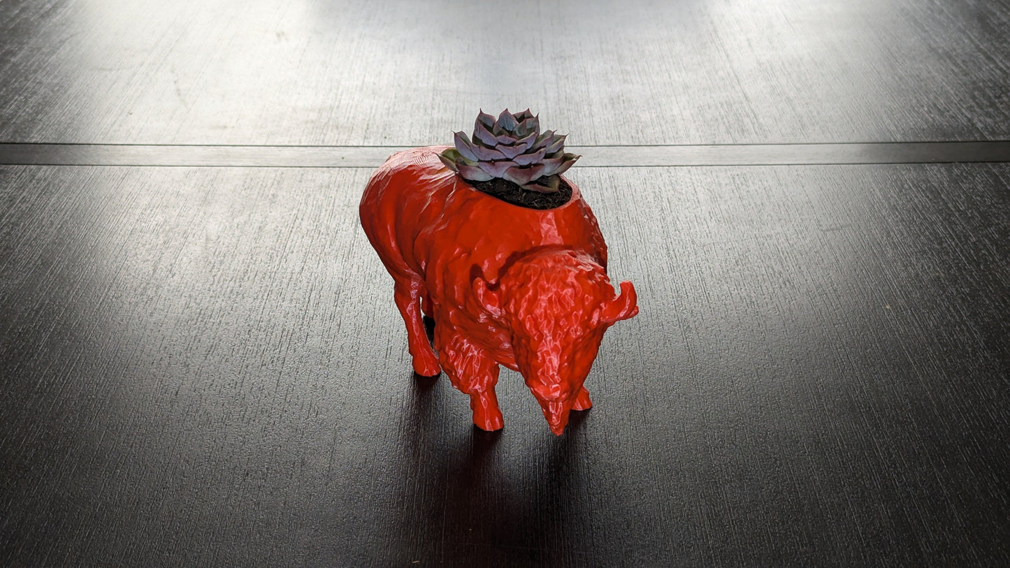 3D Printed Buffalo Planter, Red and Blue Succulent Pot, Eco-Friendly Plant Holder, Gift Wrapping