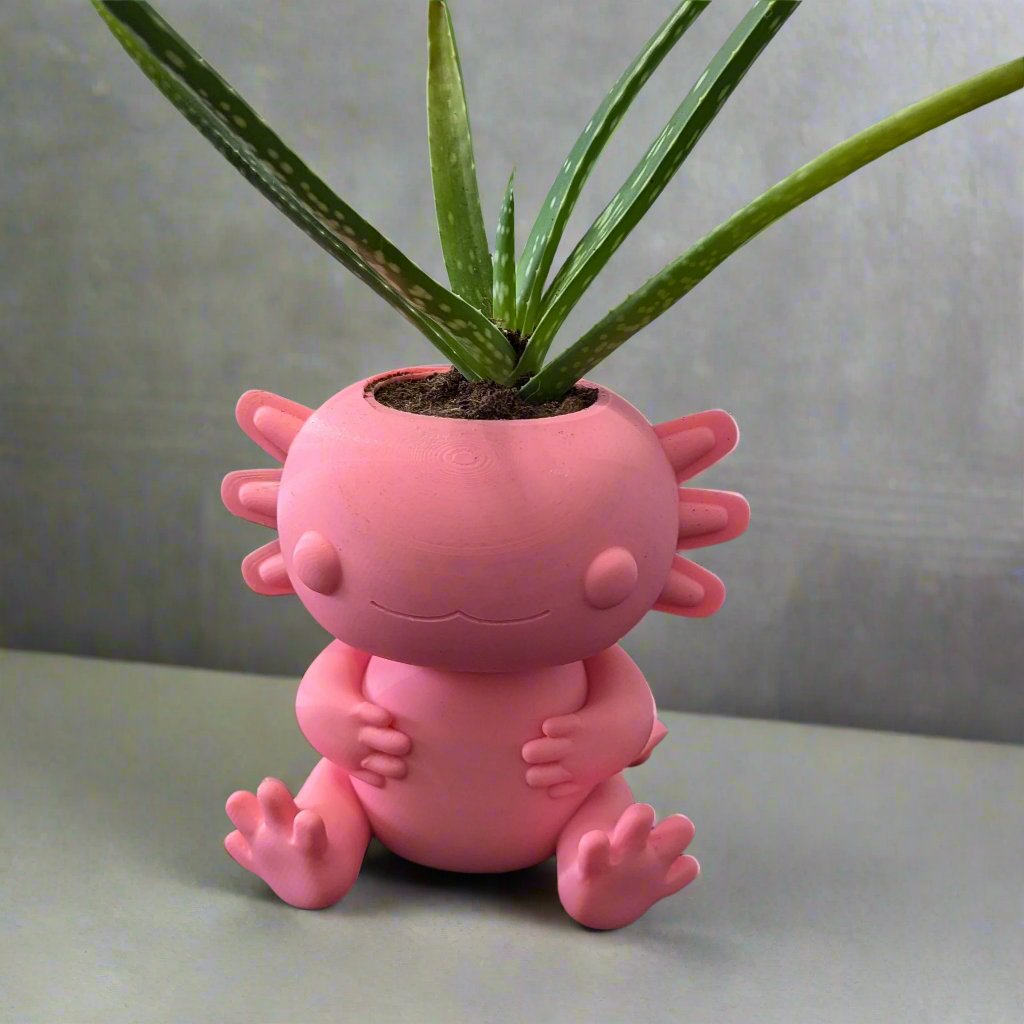 3D Printed Axolotl Planter, Eco-Friendly Bio-Based Material, Cute Plant Pot, Face Planter Pot, Head Planter, Succulent Pot