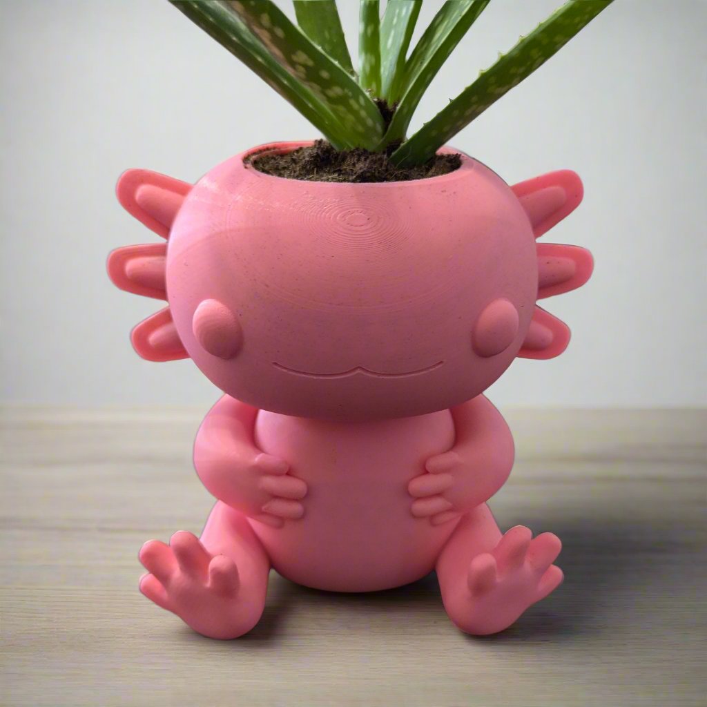 3D Printed Axolotl Planter, Eco-Friendly Bio-Based Material, Cute Plant Pot, Face Planter Pot, Head Planter, Succulent Pot